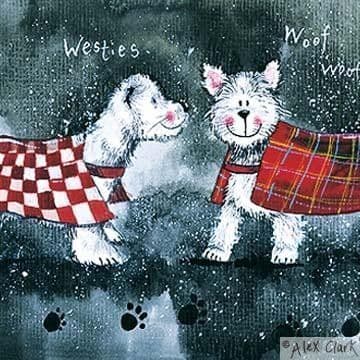 Comparing Coats Any occasion greeting card