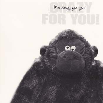 Crazy Greetings Card