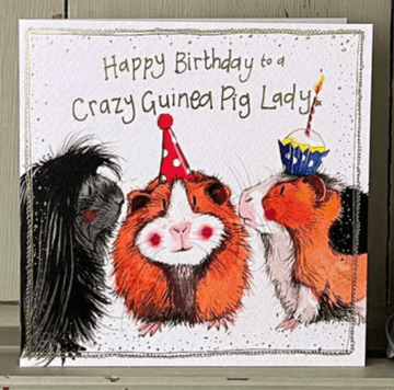 Crazy Guinea Pig lady Birthday card