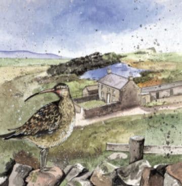 Curlews Rest Any occasion greeting card