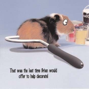 Decorate Greetings Card