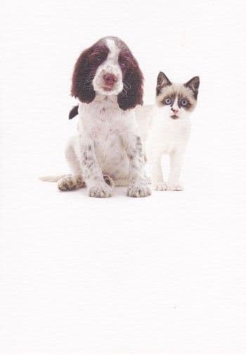Dog and Cat Blank Greetings Card