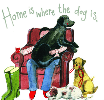 Dog lover Any occasion greeting card