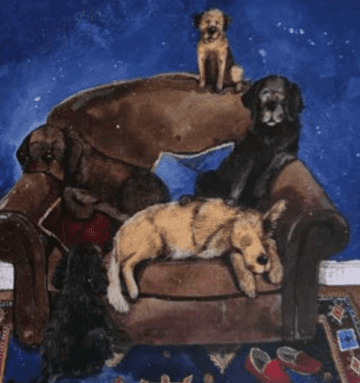 Dogs Chair Any occasion greeting card