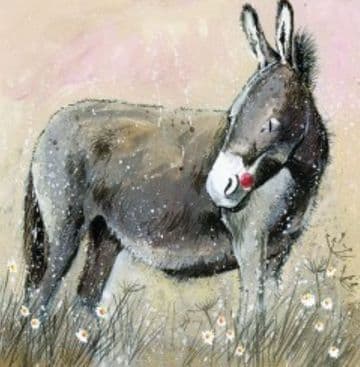 Donkey Any occasion greeting card