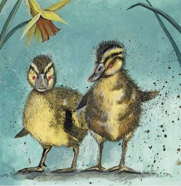 Ducklings Any occasion greeting card