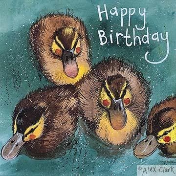 Ducklings Birthday card