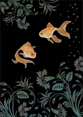 Fantail Goldfish Blank embossed / foiled greeting card
