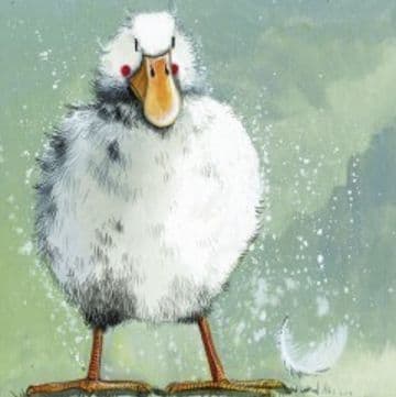 Feathers Any occasion greeting card