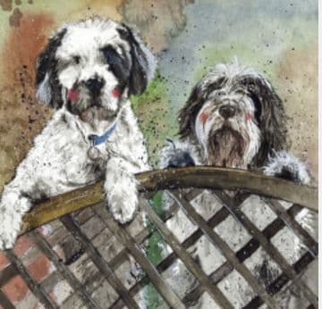 Fence Any occasion greeting card