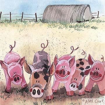 Five Little Pigs Any occasion greeting card