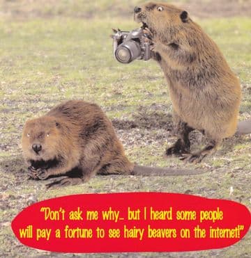 Fortune Greetings Card