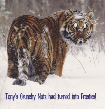 Frosties Birthday Card