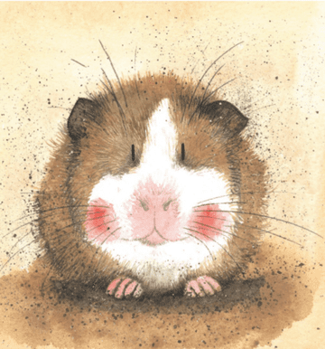 Gilbert Any occasion greeting card