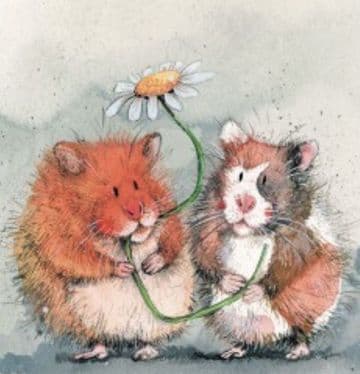 Ginger and Patch Any occasion greeting card