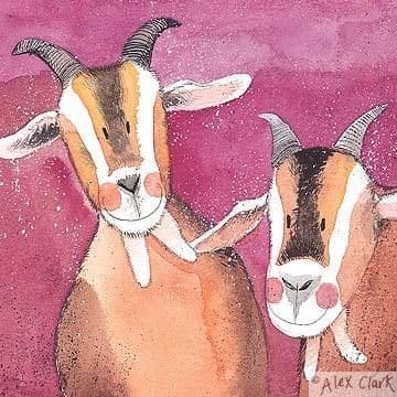 Goats Any occasion greeting card
