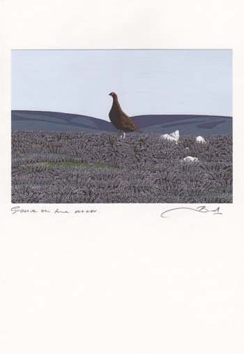 Grouse on the Moor Greetings Card