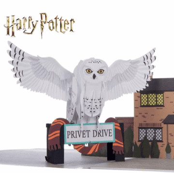 Hedwig Pop up Greeting card
