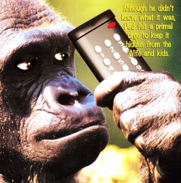 Hidden Greetings Card