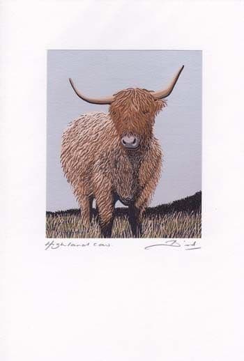 Highland Cow Greetings Card