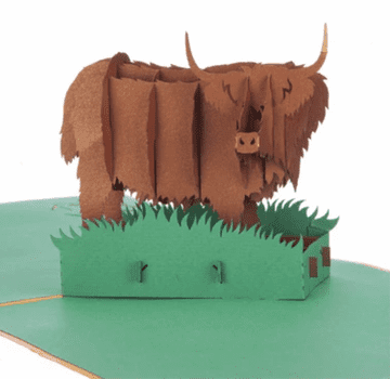 Highland Cow Pop up Greeting card