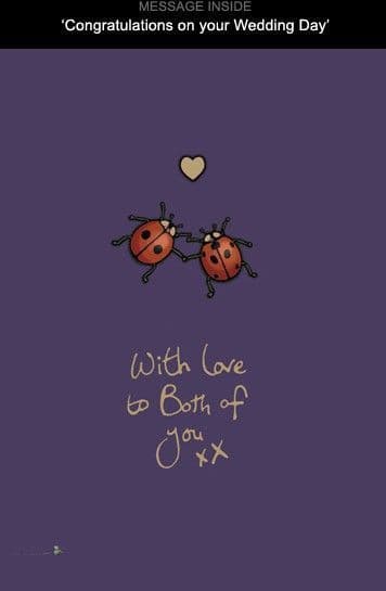 Ladybirds-Wedding Greetings Card