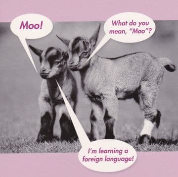 Language Greetings Card
