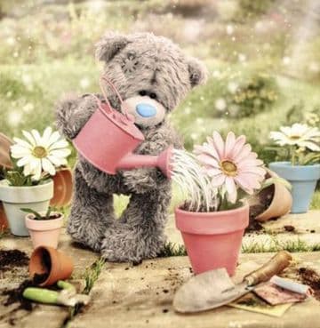 Love Bear watering flowers ( 3D ) Birthday card