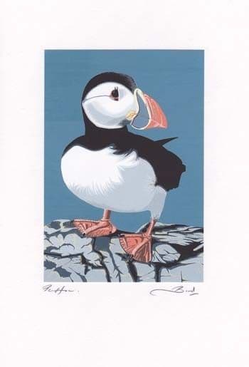 Puffin Greetings Card