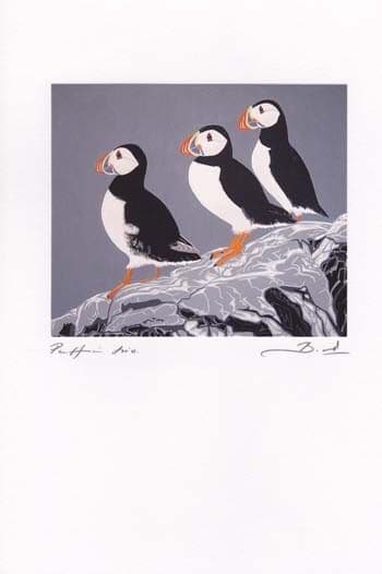Puffin Trio Greetings Card