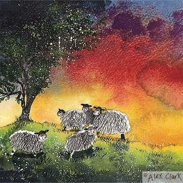 Red Sky at Night Any occasion greeting card