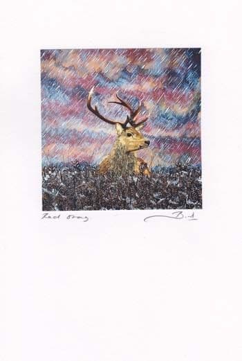 Red Stag Greetings Card