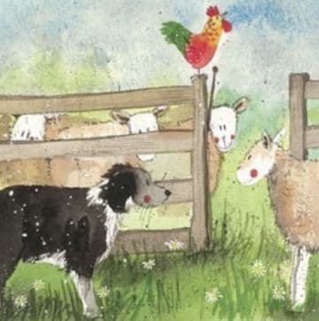 Round up Any occasion greeting card