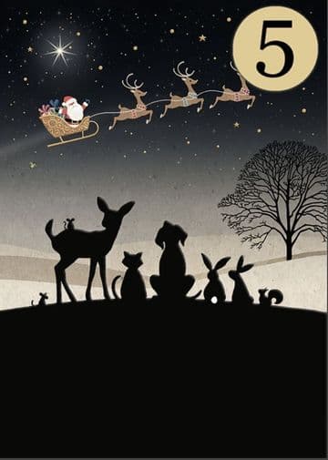 Santa Gazing ( 5 pack ) Christmas cards