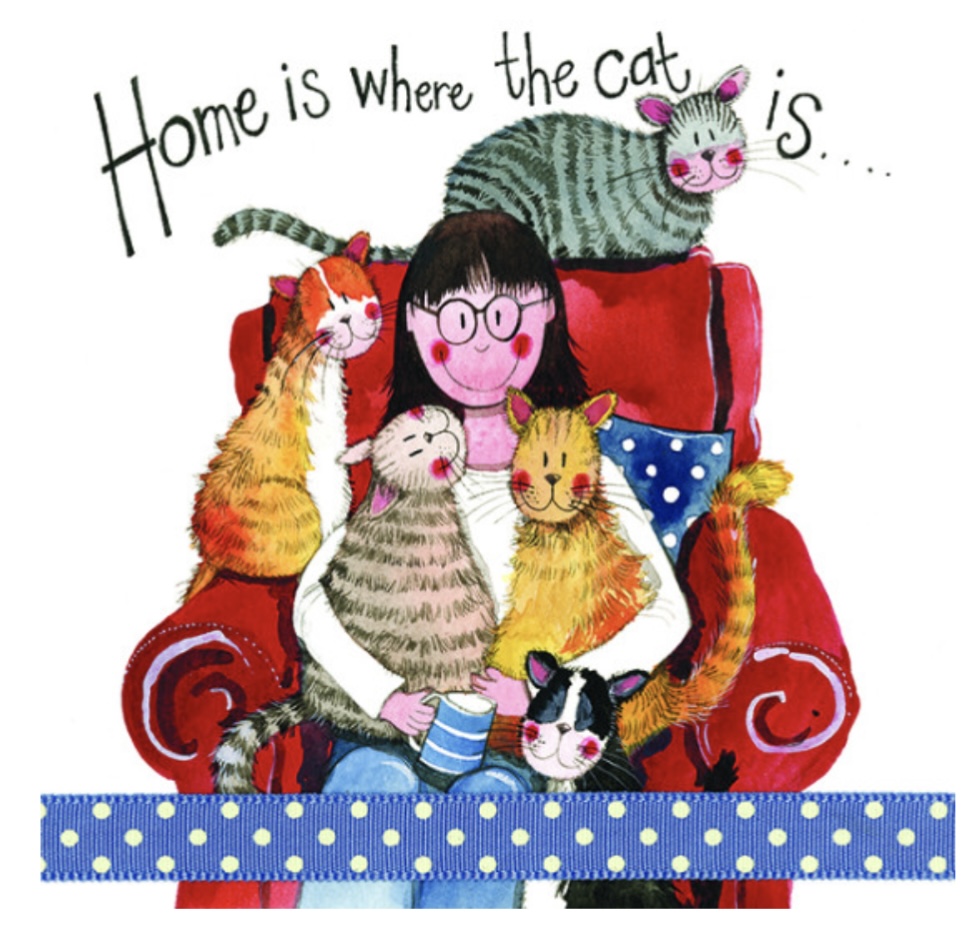 Cat Lover