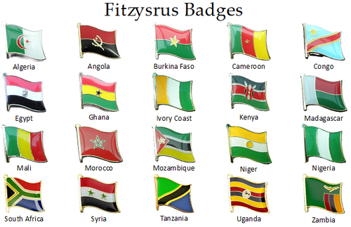 Africa 20 Piece Country Flag Pin Badge Set African Collection