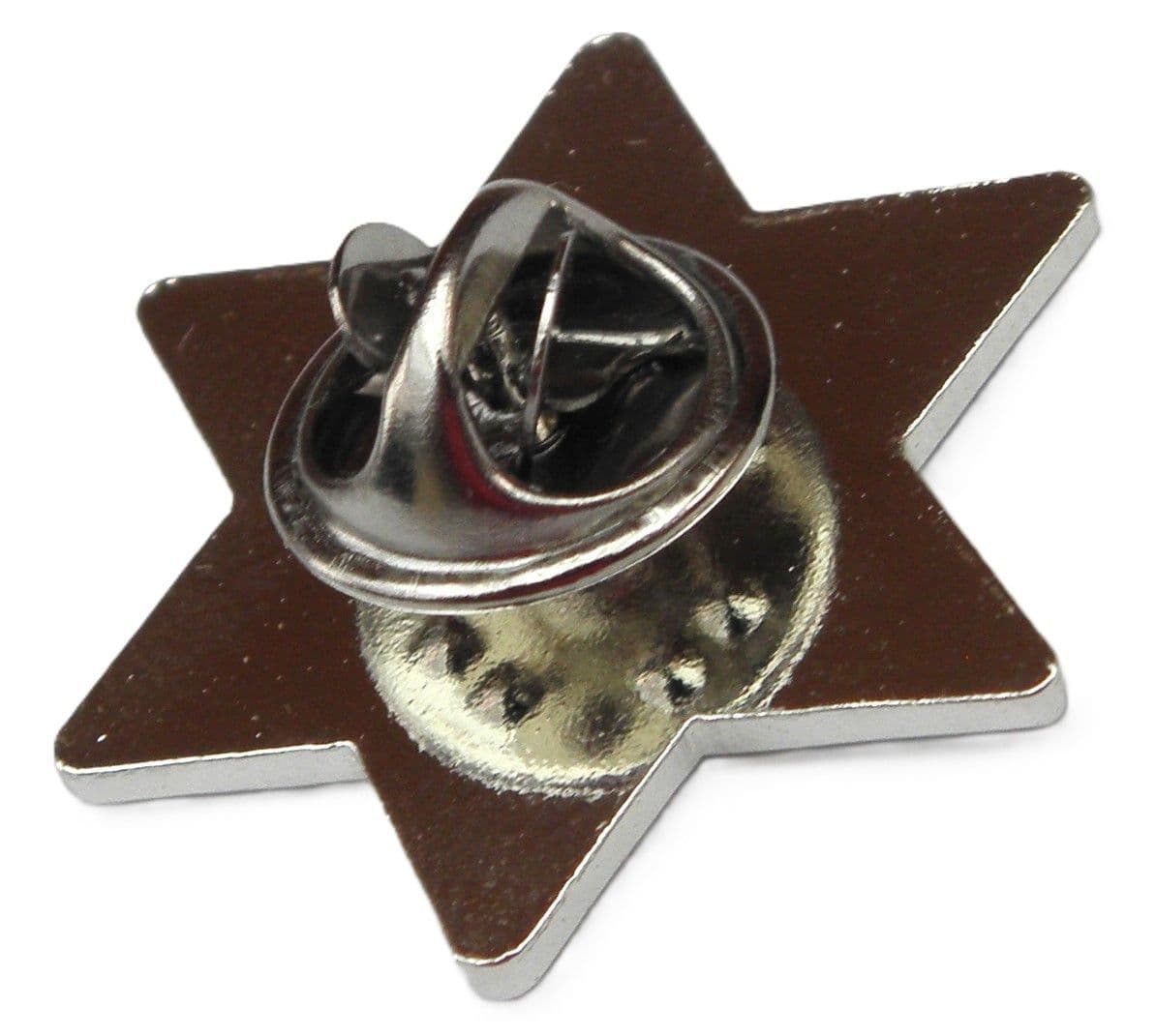 Chai Star of David Pin Badge Jewish Magen Judaism Hexagram Shield Hebrew