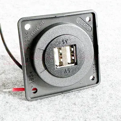 Berker 12v Twin USB Charging Point