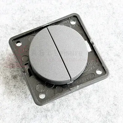 Berker Single 12v - 5A Double On / Off Rocker Switch
