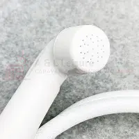 Bullfinch Shower Head & 1.5m Hose Assembly