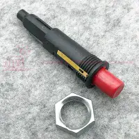 Dometic Electrolux Fridge Piezo Igniter