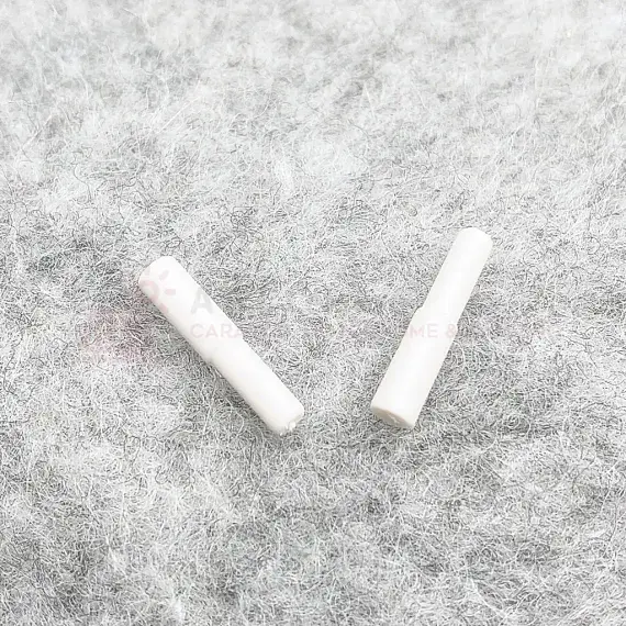 Truma, Carver Water Pump Inlet Flap, Lid Hinge Pins Caravan Filtapac IVORY  F108