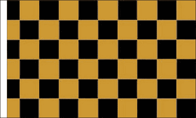 Black and Gold Check Flag (Sleeved)
