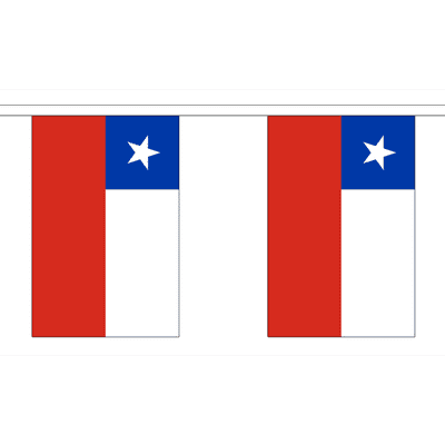 Country Flag Bunting