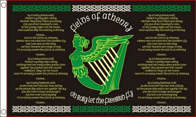 Fields Of Athenry Flag