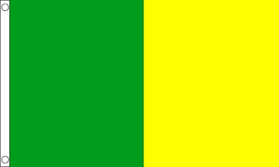 Green and Gold Irish County Flag