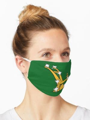 Green Starry Plough Face Mask