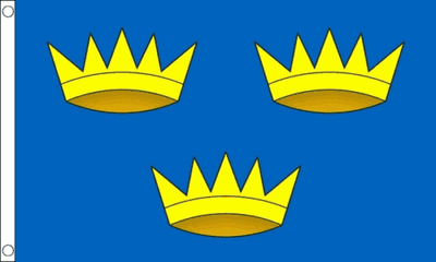 Munster Flag 3 x 2 FT
