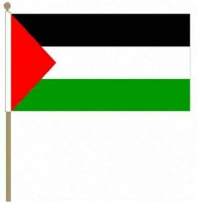 Palestine Large Hand Waving Flag