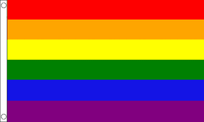 Rainbow (LGBT) Large Flag